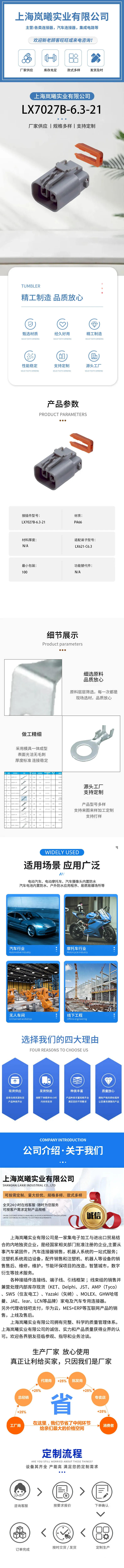 LX7027B-6.3-21 — product specifications