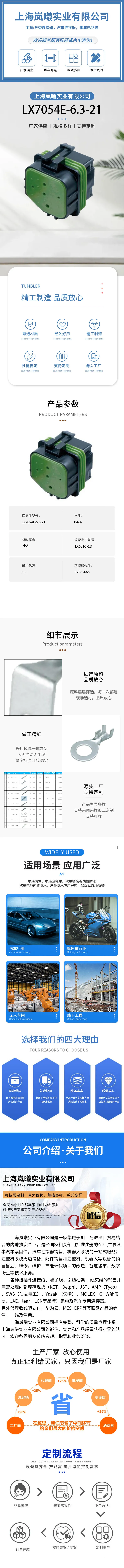 LX7054E-6.3-21（12065665） — product specifications