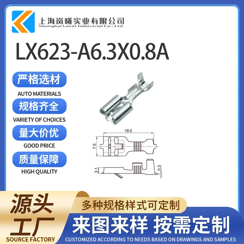 LX623-A6.3X0.8A